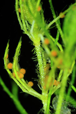 BUITEN BEELD Foto: 302282