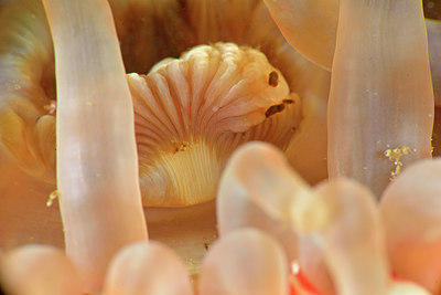 BUITEN BEELD Foto: 302361