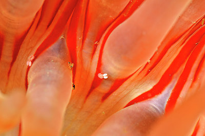 BUITEN BEELD Foto: 302362