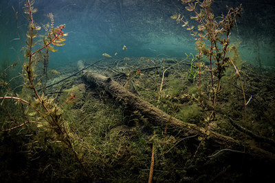 BUITEN BEELD Foto: 302398