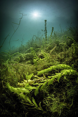 BUITEN BEELD Foto: 302403