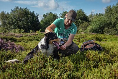 BUITEN BEELD Foto: 302456