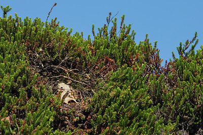 BUITEN BEELD Foto: 302505