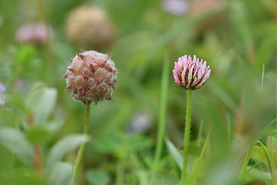 BUITEN BEELD Foto: 302541