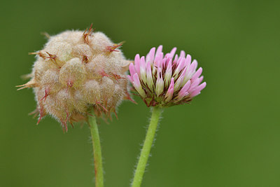 BUITEN BEELD Foto: 302543