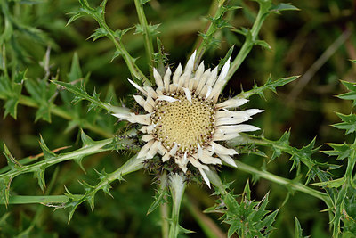BUITEN BEELD Foto: 302570
