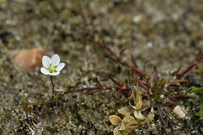 BUITEN BEELD Foto: 302584