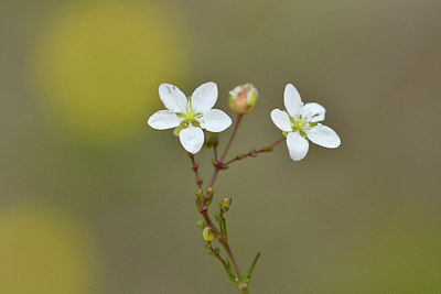 BUITEN BEELD Foto: 302586