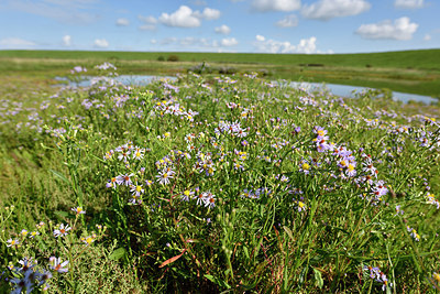 BUITEN BEELD Foto: 302652