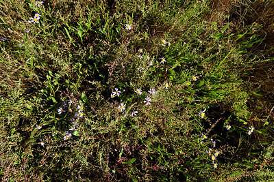BUITEN BEELD Foto: 302654