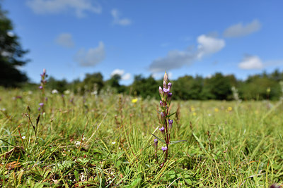 BUITEN BEELD Foto: 302655