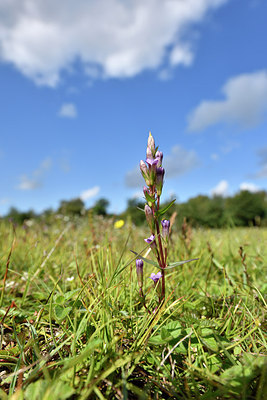 BUITEN BEELD Foto: 302656