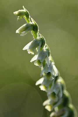 BUITEN BEELD Foto: 302660