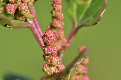 BUITEN BEELD Foto: 302663