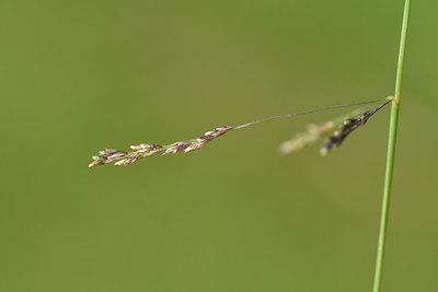 BUITEN BEELD Foto: 302672