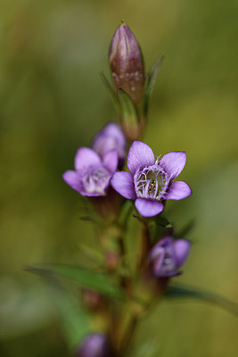 BUITEN BEELD Foto: 302685