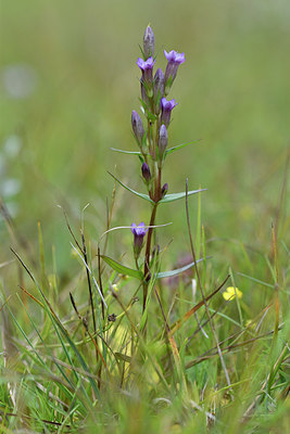 BUITEN BEELD Foto: 302690