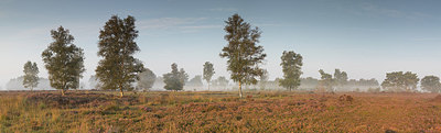BUITEN BEELD Foto: 302716
