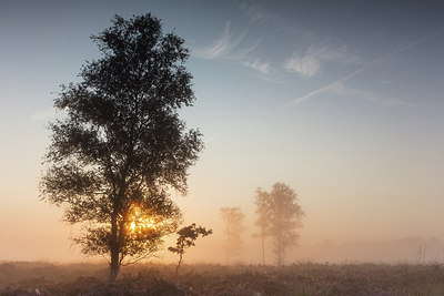 BUITEN BEELD Foto: 302722