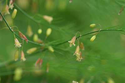 BUITEN BEELD Foto: 302783