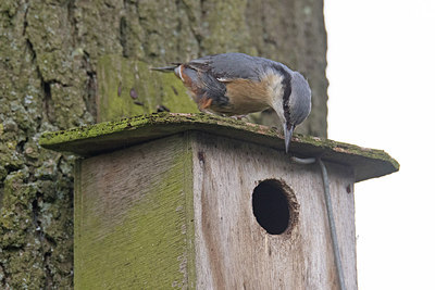 BUITEN BEELD Foto: 302799