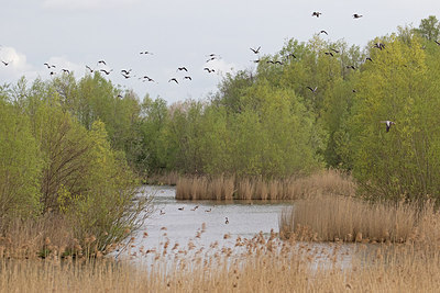 BUITEN BEELD Foto: 302800