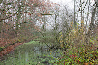 BUITEN BEELD Foto: 302825