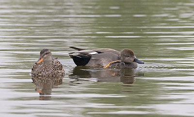 BUITEN BEELD Foto: 302830