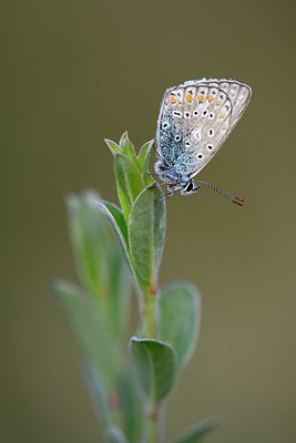 BUITEN BEELD Foto: 302840