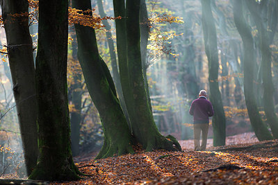 BUITEN BEELD Foto: 302850
