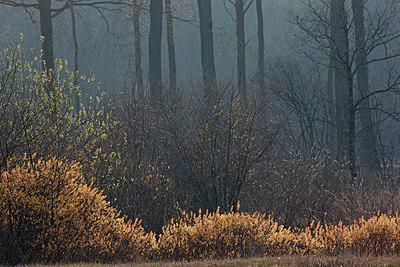 BUITEN BEELD Foto: 302891