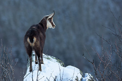BUITEN BEELD Foto: 302960