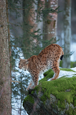 BUITEN BEELD Foto: 303024
