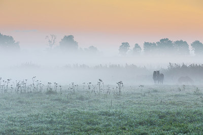 BUITEN BEELD Foto: 303085