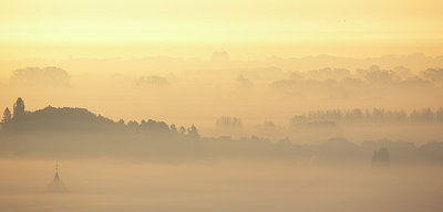 BUITEN BEELD Foto: 303149