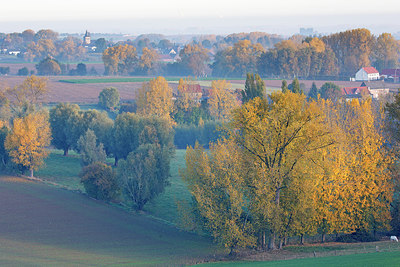 BUITEN BEELD Foto: 303153