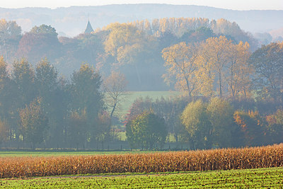 BUITEN BEELD Foto: 303156