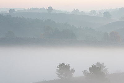 BUITEN BEELD Foto: 303176
