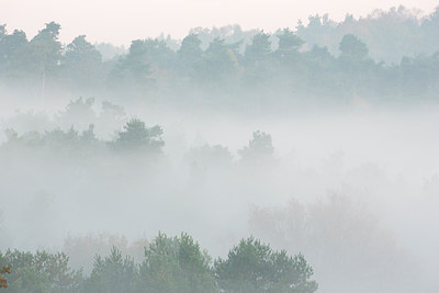 BUITEN BEELD Foto: 303178