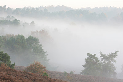 BUITEN BEELD Foto: 303179