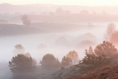 BUITEN BEELD Foto: 303180