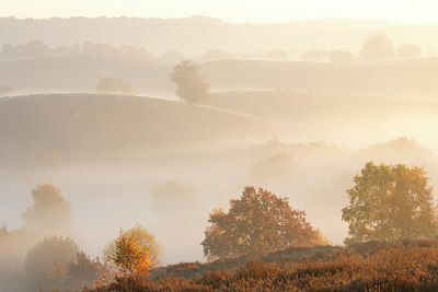 BUITEN BEELD Foto: 303186