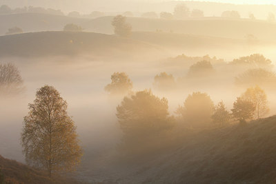 BUITEN BEELD Foto: 303189