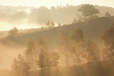 BUITEN BEELD Foto: 303192