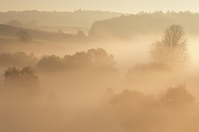 BUITEN BEELD Foto: 303193