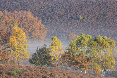 BUITEN BEELD Foto: 303204