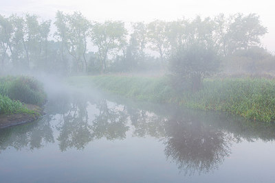 BUITEN BEELD Foto: 303256