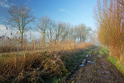 BUITEN BEELD Foto: 303316