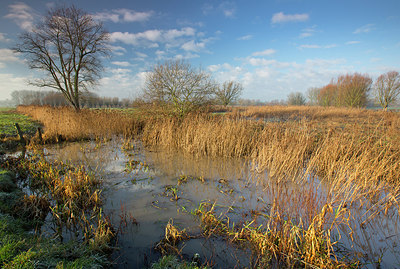 BUITEN BEELD Foto: 303319