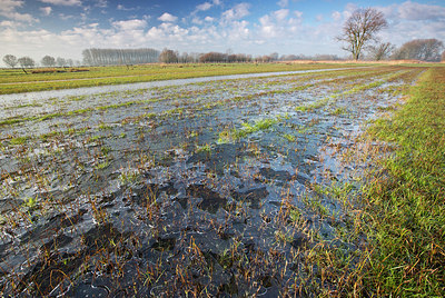 BUITEN BEELD Foto: 303320